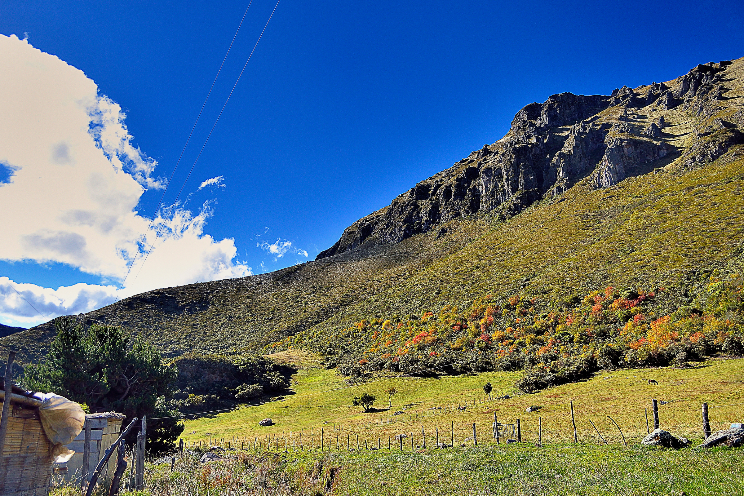 papallacta 04.webp